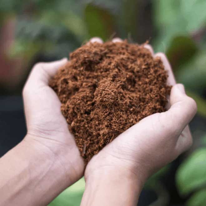 Coco Coir image 0
