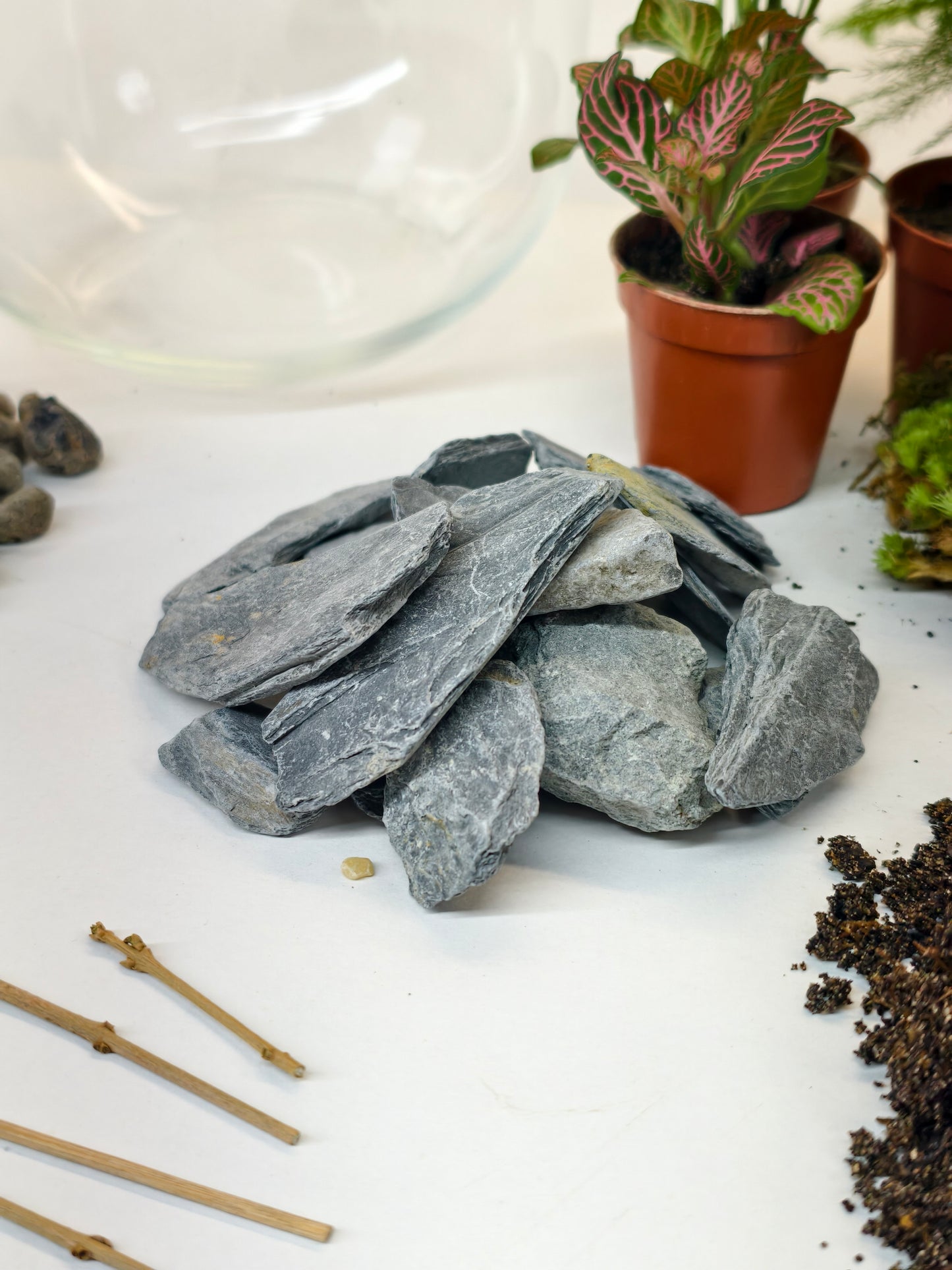 Deluxe Terrarium Kit 22cm