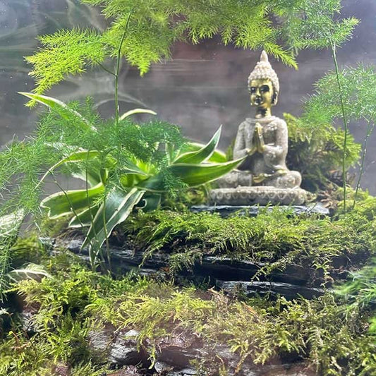 Buddha figure image 0