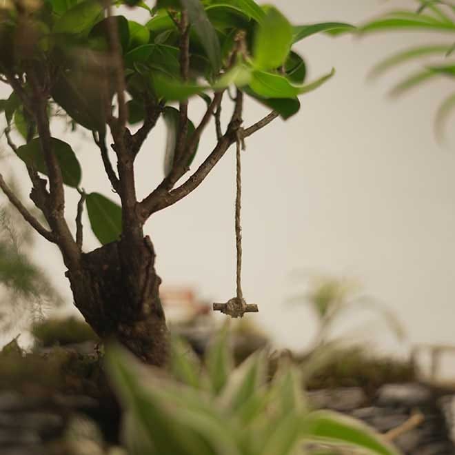 Rope Swing image 0