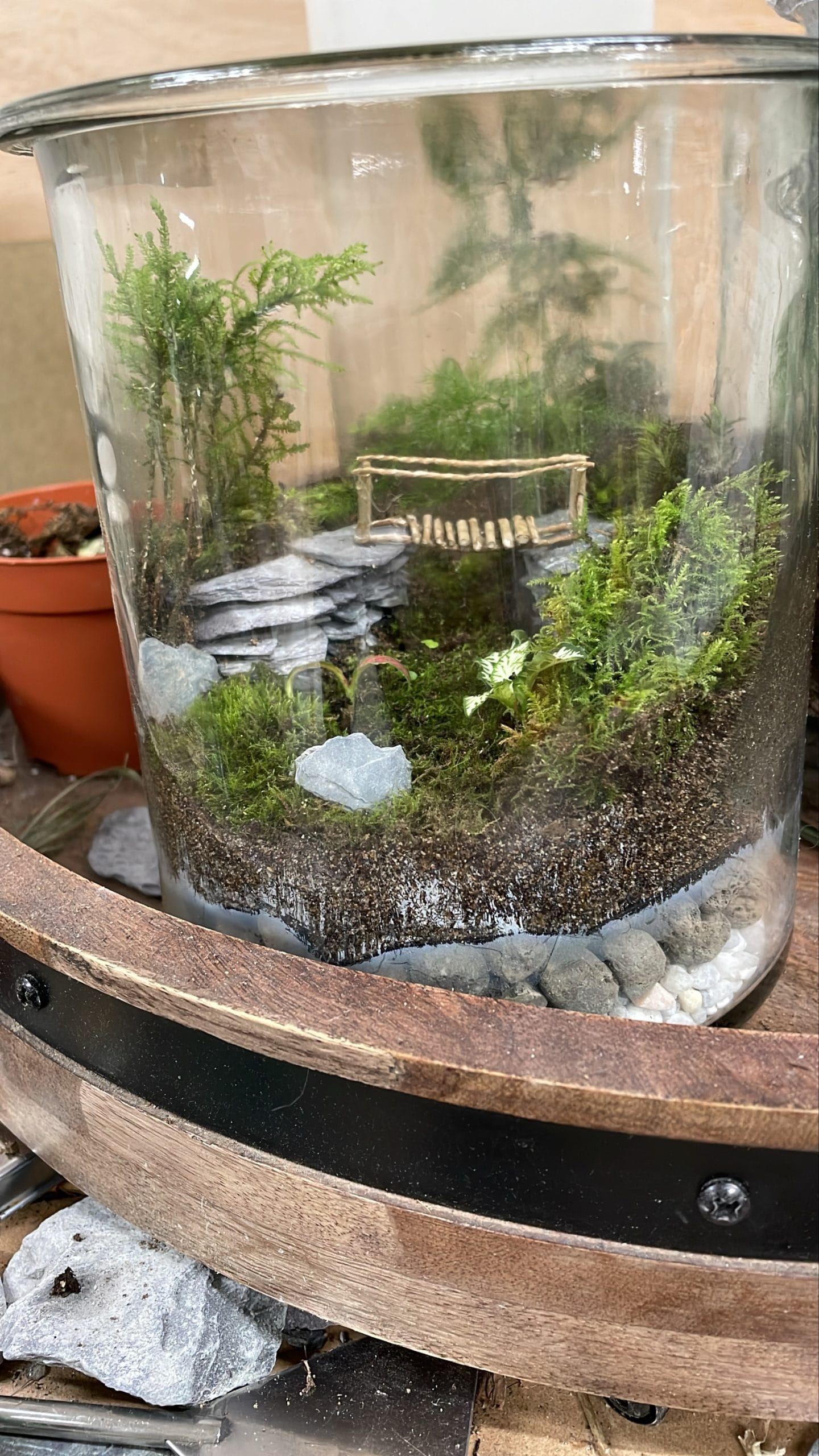 Terrarium Workshop – Flourish 26th April image 3