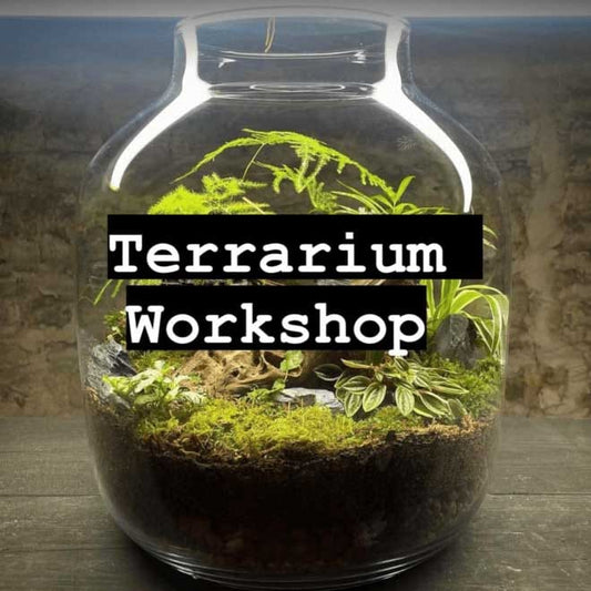 Workshop Voucher image 0