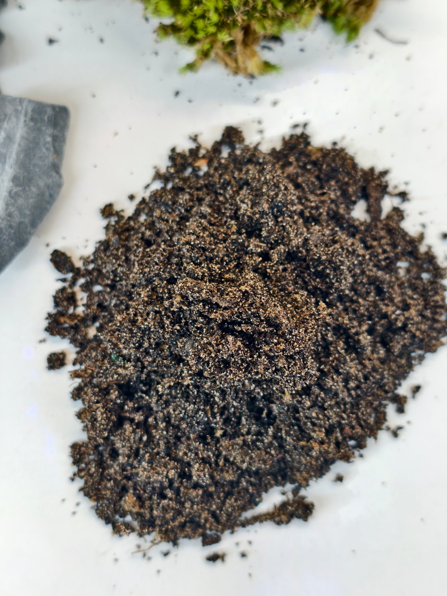 Deluxe Terrarium Kit 22cm