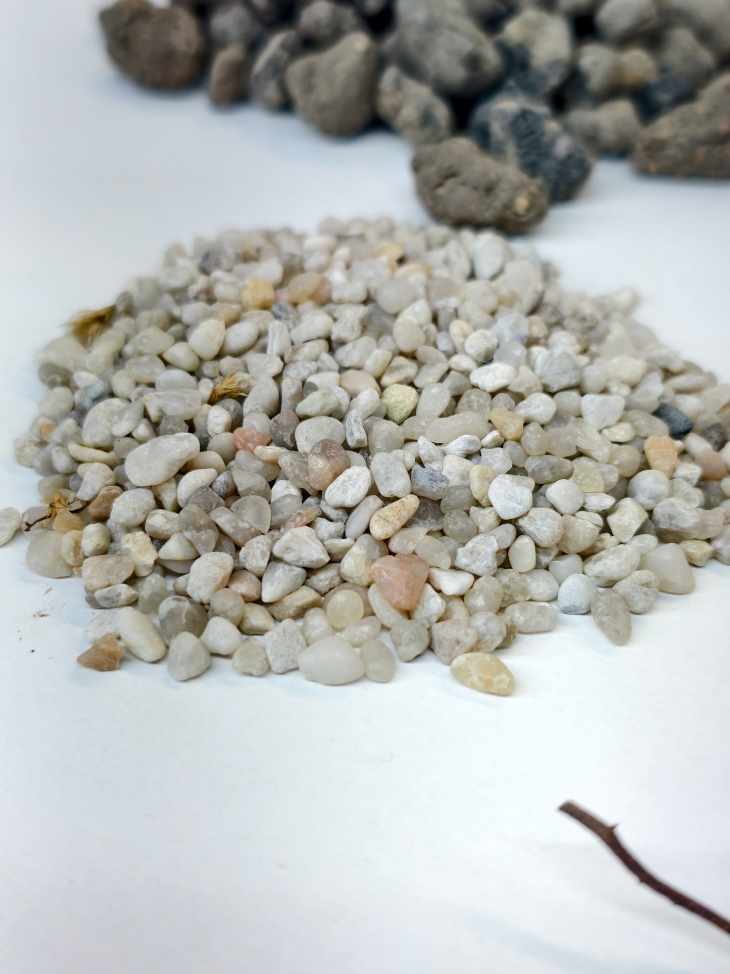 Deluxe Terrarium Kit 22cm