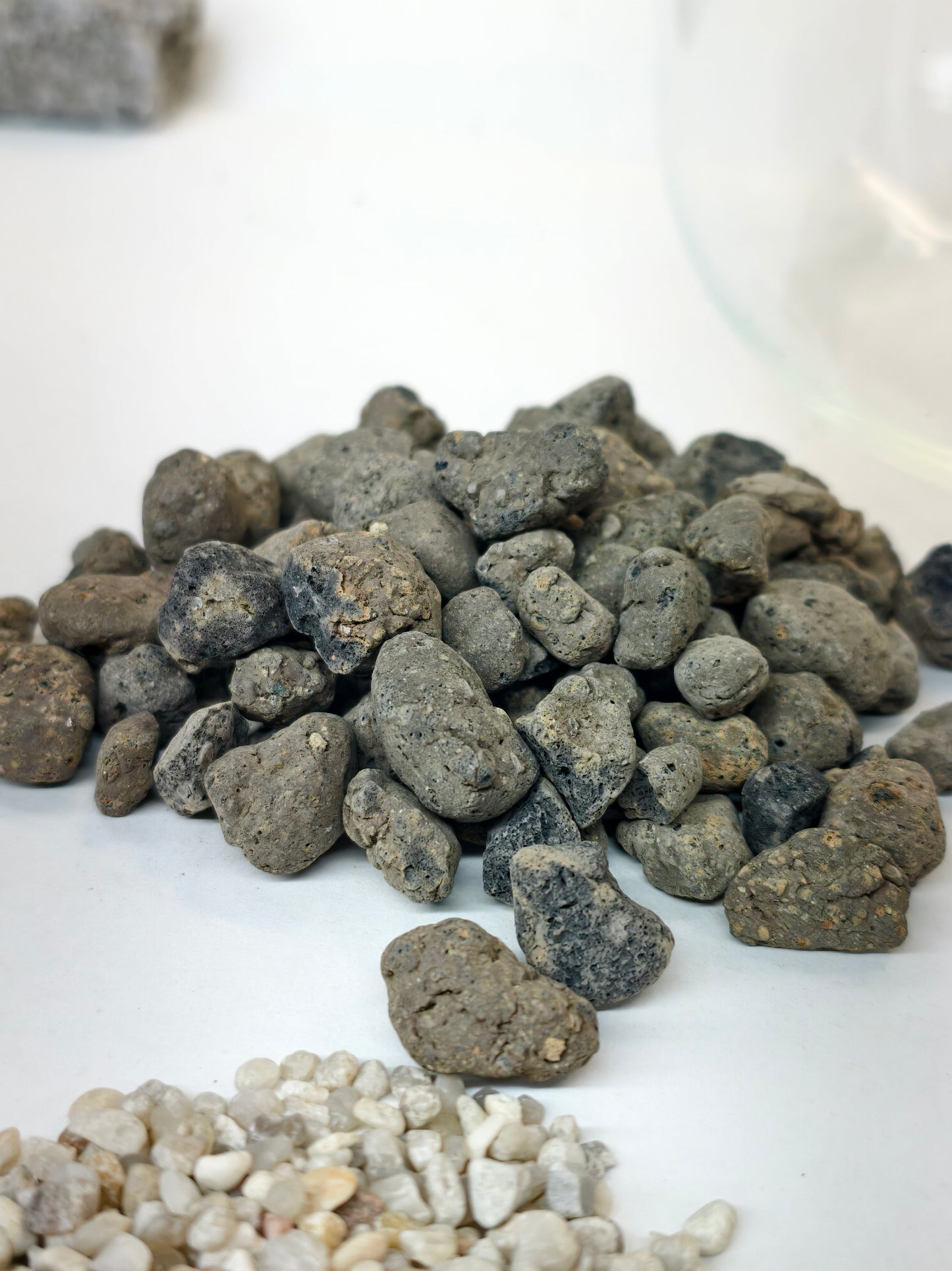 Deluxe Terrarium Kit 22cm